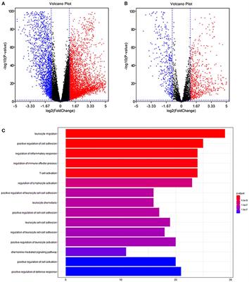 Bioinformatics Identified 17 Immune Genes as Prognostic Biomarkers for Breast Cancer: Application Study Based on Artificial Intelligence Algorithms